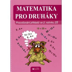 Matematika pro druháky - kolektiv autorů