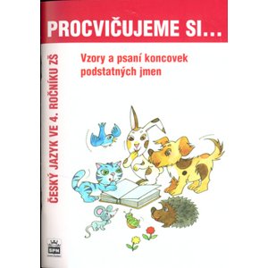 Procvičujeme si vzory a psaní koncovek podstatných jmen 4.r.ZŠ