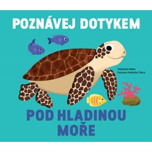 Pod hladinou moře - Poznávej dotykem - Babin Stéphanie