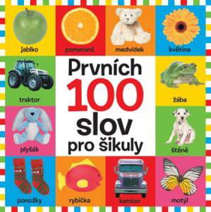 Prvních 100 slov pro šikuly - neuveden