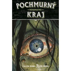 Pochmurný kraj 8 - Nenávratno - Bunn Cullen, Crook Tyler