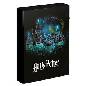 BAAGL Desky na školní sešity A4 Jumbo - Harry Potter