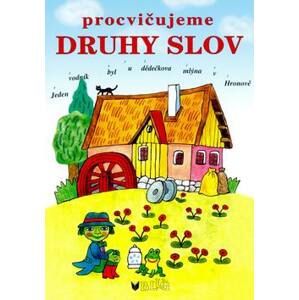 Procvičujeme druhy slov - Vlasta Blumentrittová, Olga Ptáčková