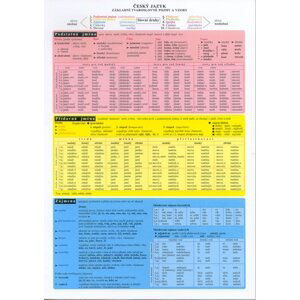Tabulka ČJ - základní tvaroslovné pojmy a vzory - N