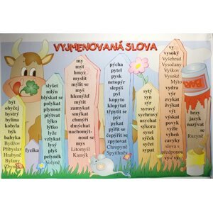 Vyjmenovaná slova /100x70/