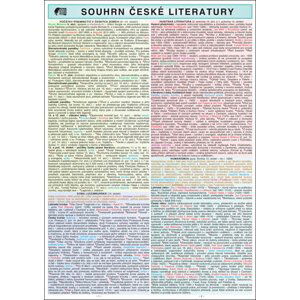 Souhrn české literatury SŠ - Helena Brdičková