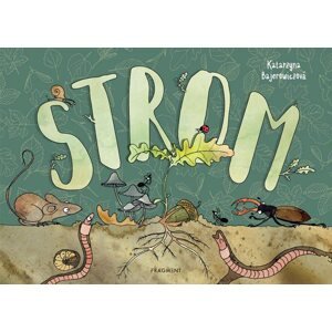 Strom - Katarzyna Bajerowiczová