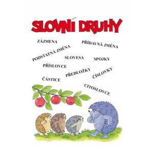 Slovní druhy - procvičovací sešit pro 3.ročník ZŠ - Ilustrace: Edita Plicková