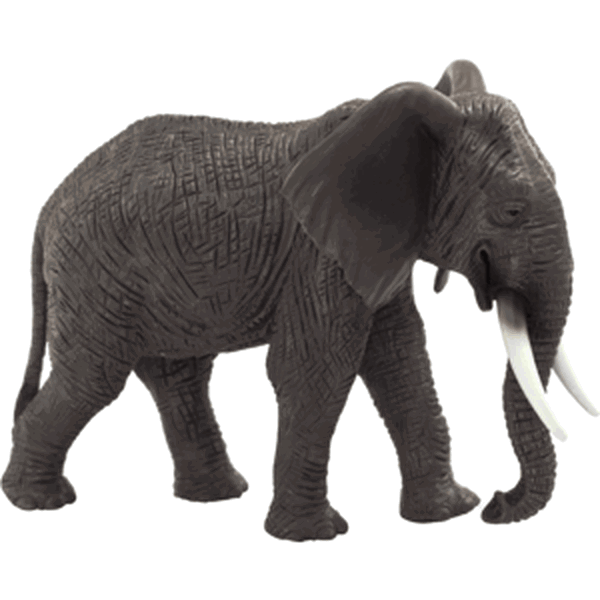 Animal Planet Slon africký