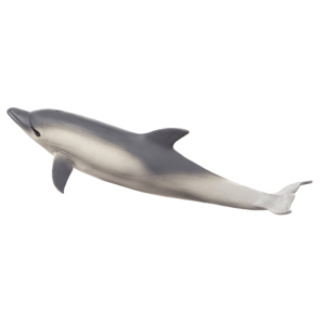 Animal Planet Delfín