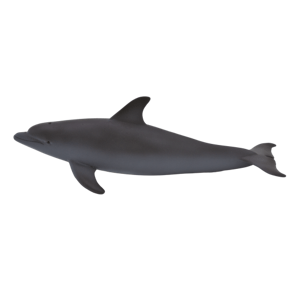 Mojo Animal Planet Delfín skákavý