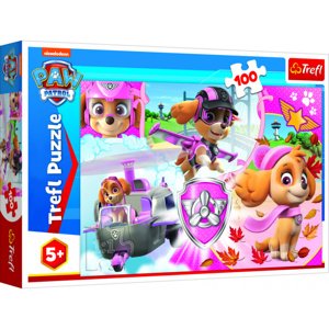 Trefl Paw Patrol Tlapková patrola Skye v akci 16368 100 dílků