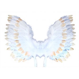 RAPPA Křídla andělská s peřím bílo-zlatá