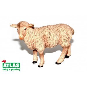 Atlas C Ovce 9 cm