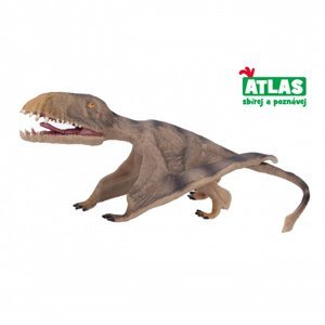 Atlas B Pterosaurus 17,2 cm