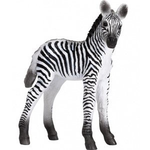 Animal Planet Zebra mládě