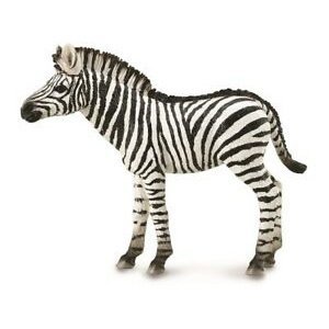 Collecta Divoká zvírátka zebra