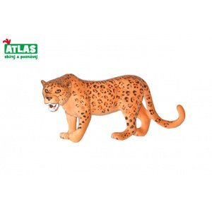Atlas C Leopard 11 cm