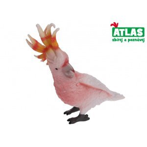 Atlas B Papoušek 8,5 cm