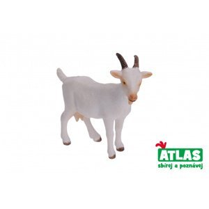 Atlas B Koza 8 cm