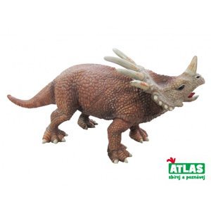 Atlas Dinosaurus Triceratops