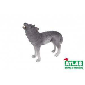 Atlas A Vlk 7 cm