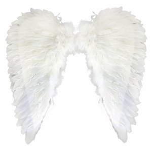 Křídla andělská peří malé