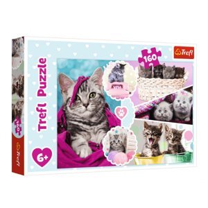 TREFL Puzzle 160 Roztomilé kočky