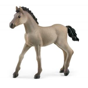 Schleich 13949 Hříbě Criollo Definitivo