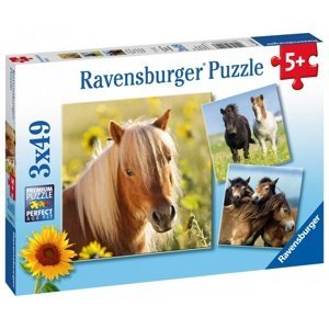 Ravensburger krásné koně 3 x 49 dílků