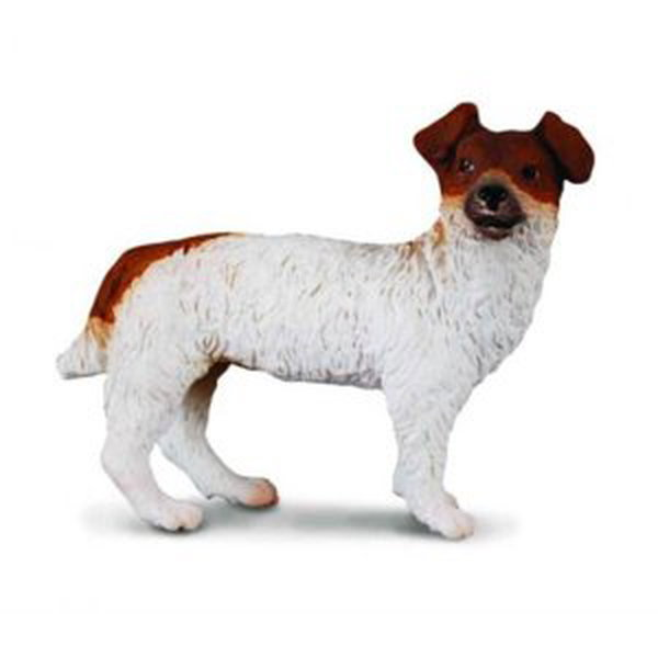 Pes Jack Russell Terier