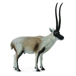 Chiru Tibetská antilopa COLLECTA