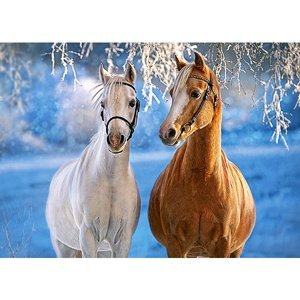 CASTORLAND Puzzle 260 ks Zimní koně
