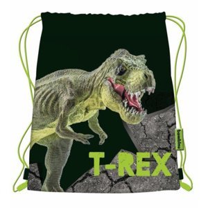 Sáček na přezůvky T-Rex