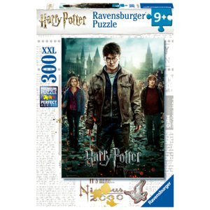 Puzzle Harry Potter spolu v boji 300 dílků