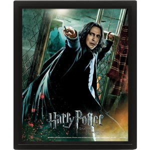 3D obraz Harry Potter Snape