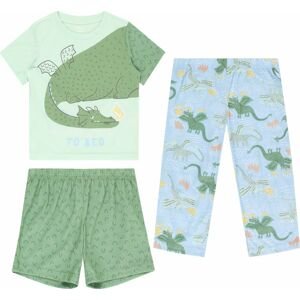 Carter's Pyžamo světlemodrá / zelená / mátová