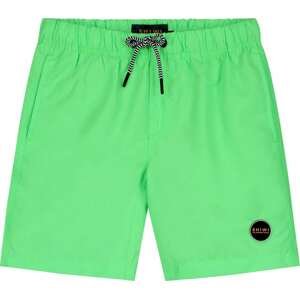 Shiwi Plavecké šortky 'Mike' svítivě zelená