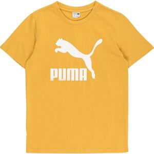 PUMA Tričko zlatě žlutá / bílá