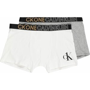 Calvin Klein Underwear Spodní prádlo světle béžová / šedá / černá / bílá