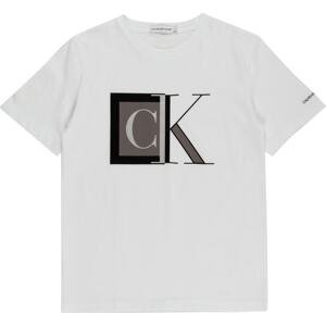 Calvin Klein Jeans Tričko šedá / šedobéžová / černá / bílá