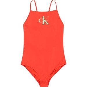 Calvin Klein Swimwear Plavky světle zelená / oranžová