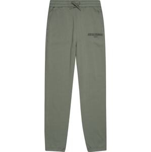 Abercrombie & Fitch Kalhoty khaki