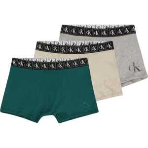 Calvin Klein Underwear Spodní prádlo kámen / šedý melír / tmavě zelená / černá