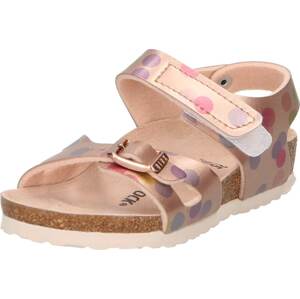 Sandály 'Colorado' Birkenstock bronzová / lenvandulová / malinová