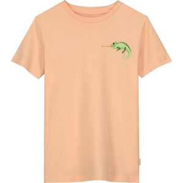 Tričko Shiwi zelená / tmavě zelená / jasně oranžová
