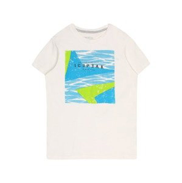 Funkční tričko icepeak nebeská modř / zelená / bílá