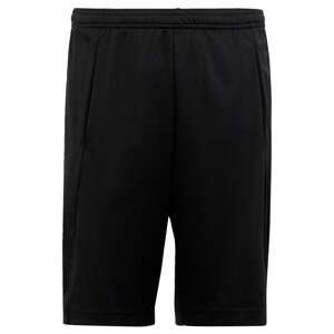 Sportovní kalhoty 'Train Essentials Aeroready Logo -Fit' ADIDAS SPORTSWEAR černá / bílá