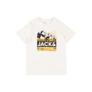 Tričko 'BOOSTER' Jack & Jones Junior šedá / oranžová / černá / bílá