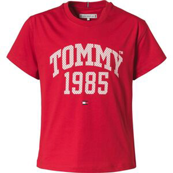 Tričko Tommy Hilfiger modrá / červená / bílá